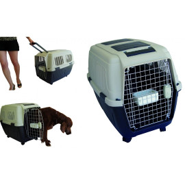 Caixa de Transporte para Cães | Comprar online | Alvarez