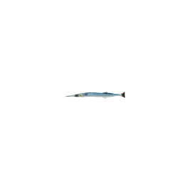 Art. Savage Gear 3D Line Thru Needlefish Pulse Tail 30 cm. | Comprar online | Alvarez