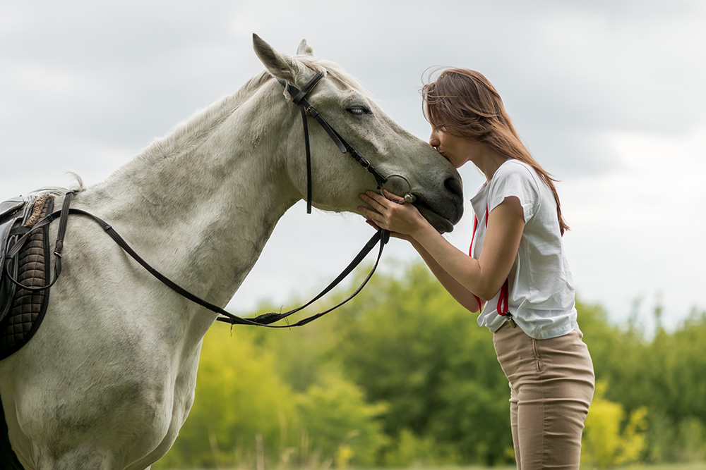 Los cinco sentidos de los caballos