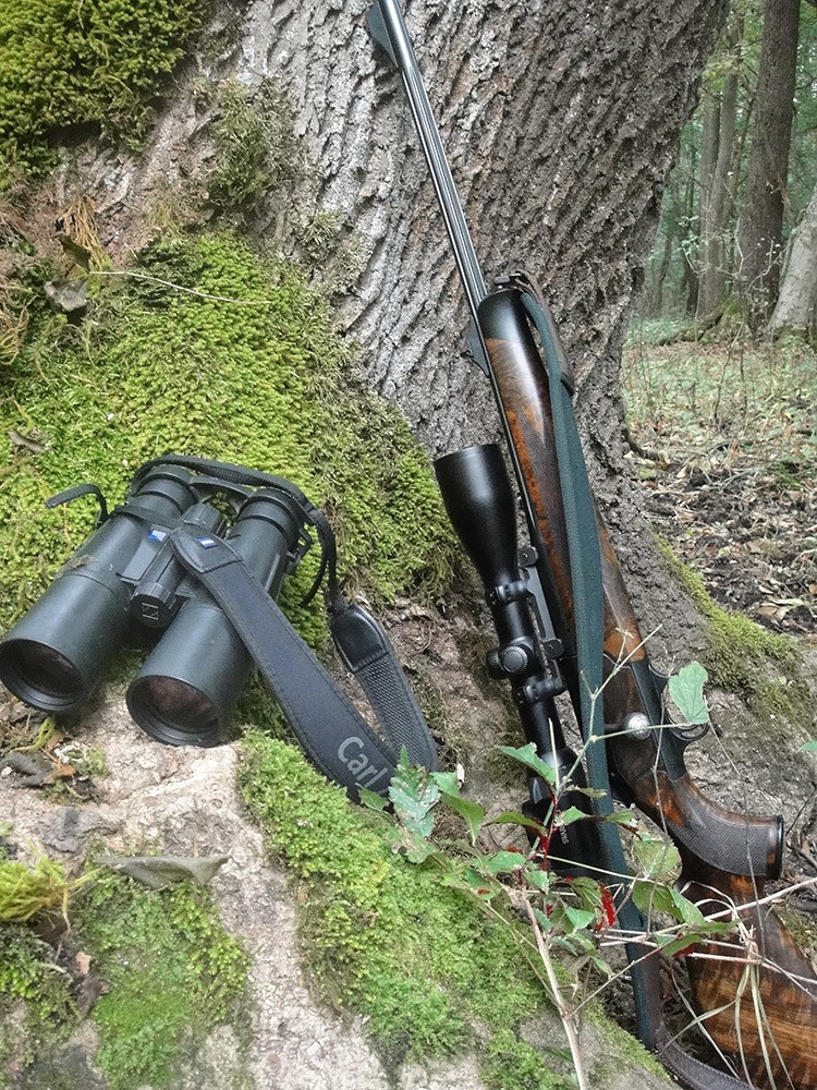 Las mejores ofertas en Miras de rifle de caza