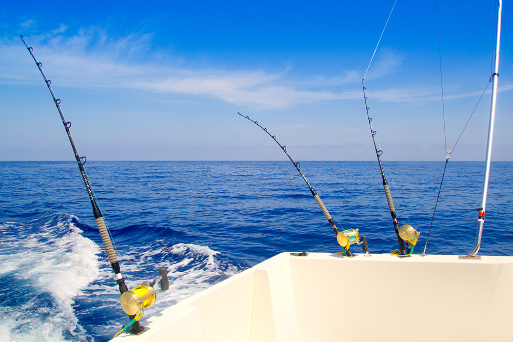 olvidadizo Instruir cáscara La pesca desde embarcación: descubre todos los trucos · Blog de pesca ·  Álvarez