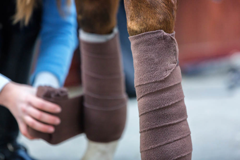 Los mejores suplementos para caballos con artritis