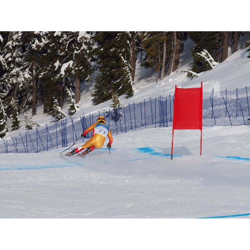 Esquí­ de competición