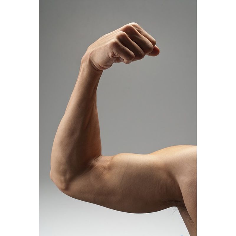Las proteínas: energía para los músculos